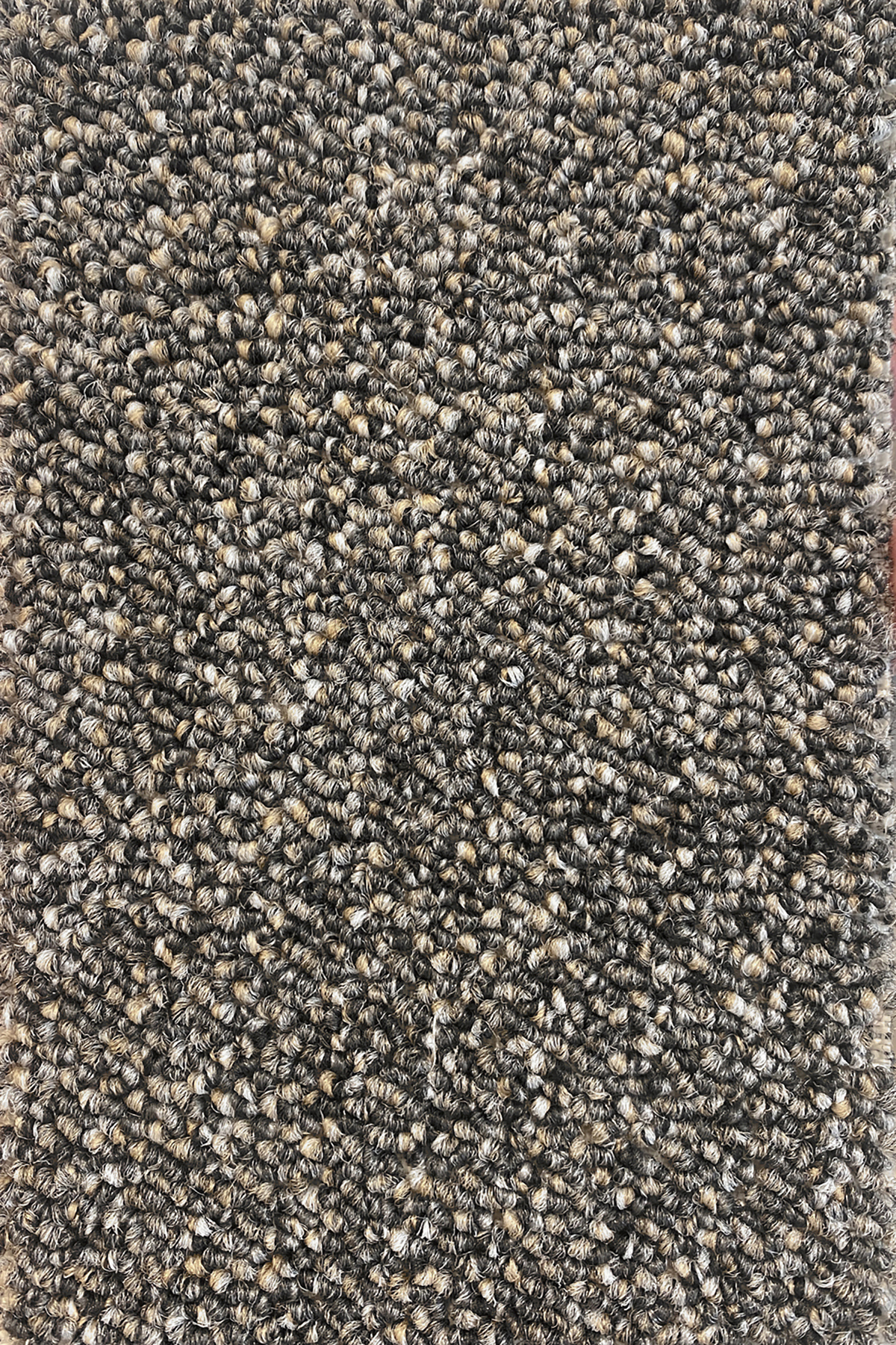 Ковровое покрытие "Bonkeel" Nero 97 (ширина 4м) — купить в Ижевске