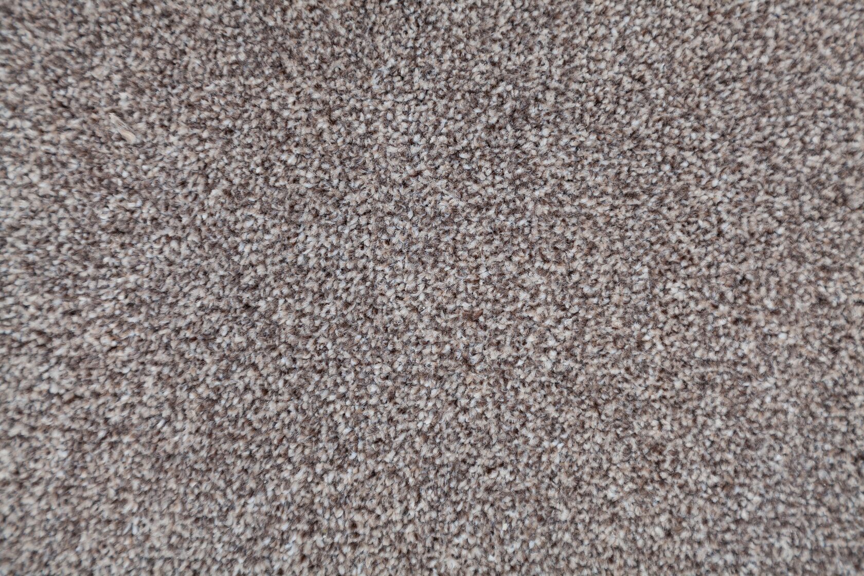 Ковровое покрытие "Bonkeel" Zodiak 39 (ширина 3м) — купить в Ижевске