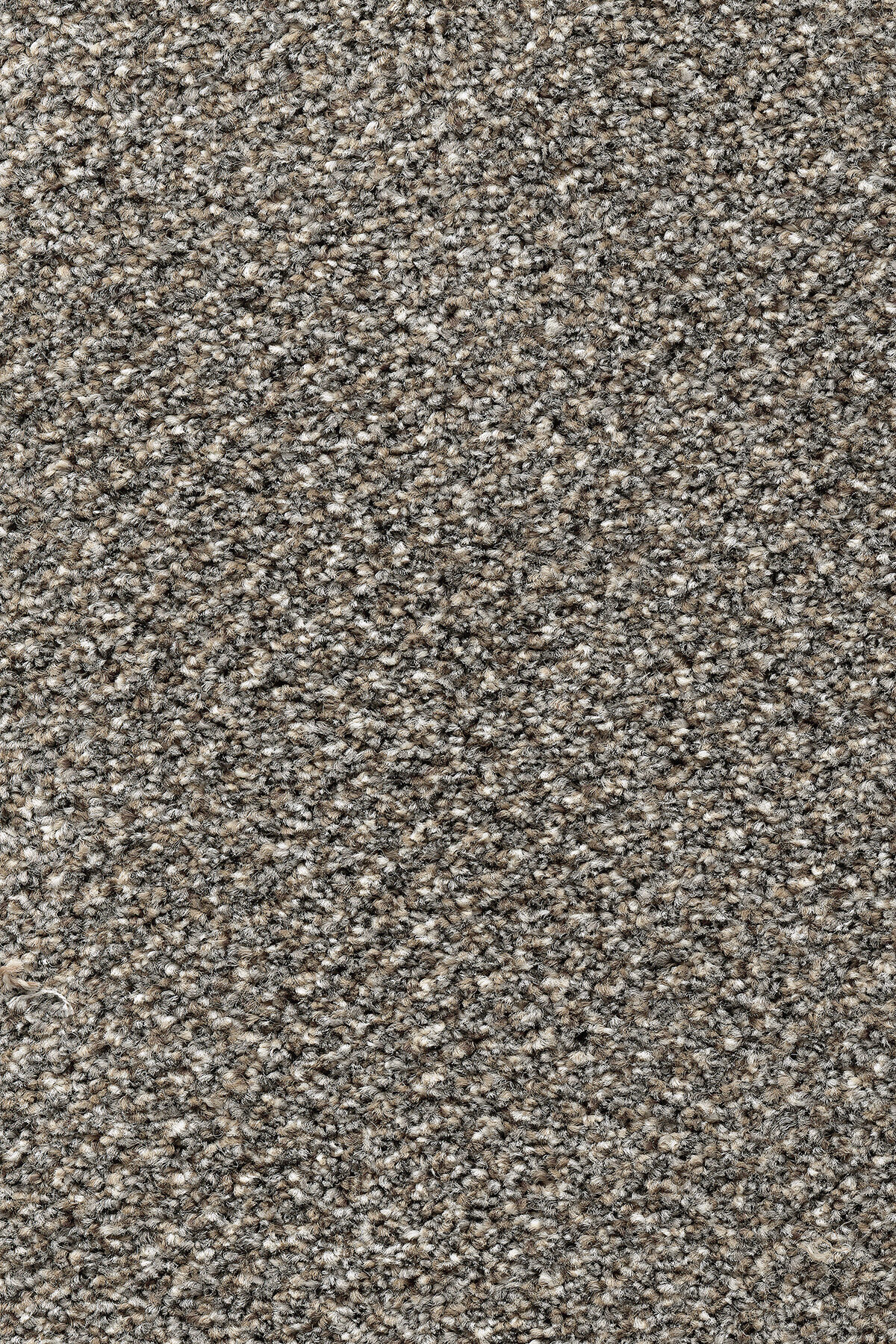 Ковровое покрытие "Bonkeel" Stainaway Tweed 94 (ширина 4м) — купить в Ижевске