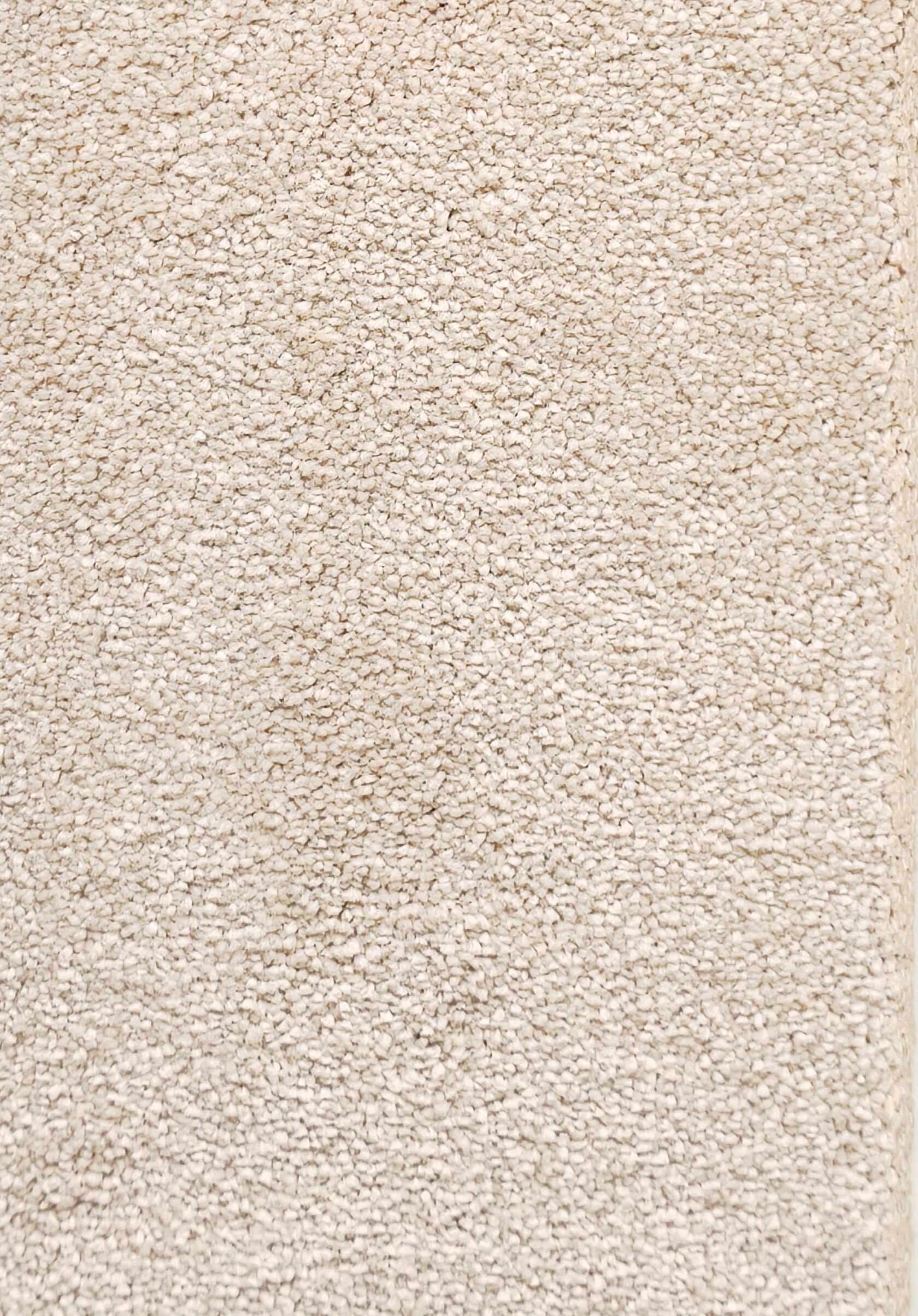 Ковровое покрытие "Bonkeel" Spirit 1000 Ivory (ширина 4м) — купить в Ижевске