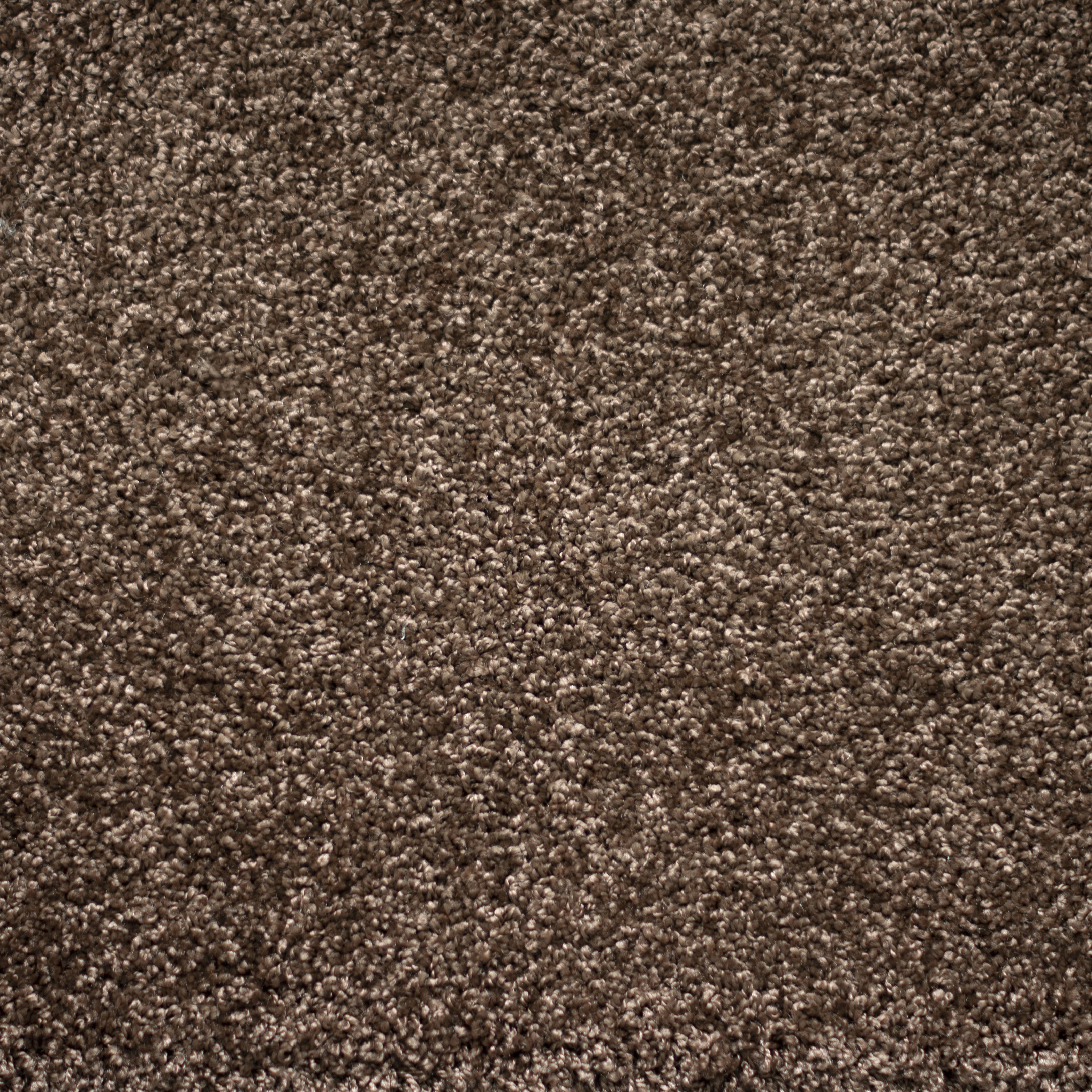 Ковролин "Зартекс" Tesoro 156 коричневый (4м) — купить в Ижевске