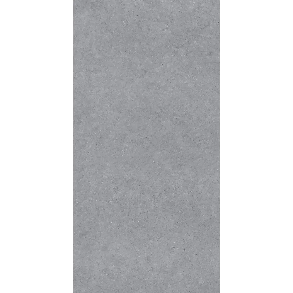 Керамогранит "Sonex" Forever Gris Matt 60x120x0.82 матовый цвет серый камень — купить в Ижевске