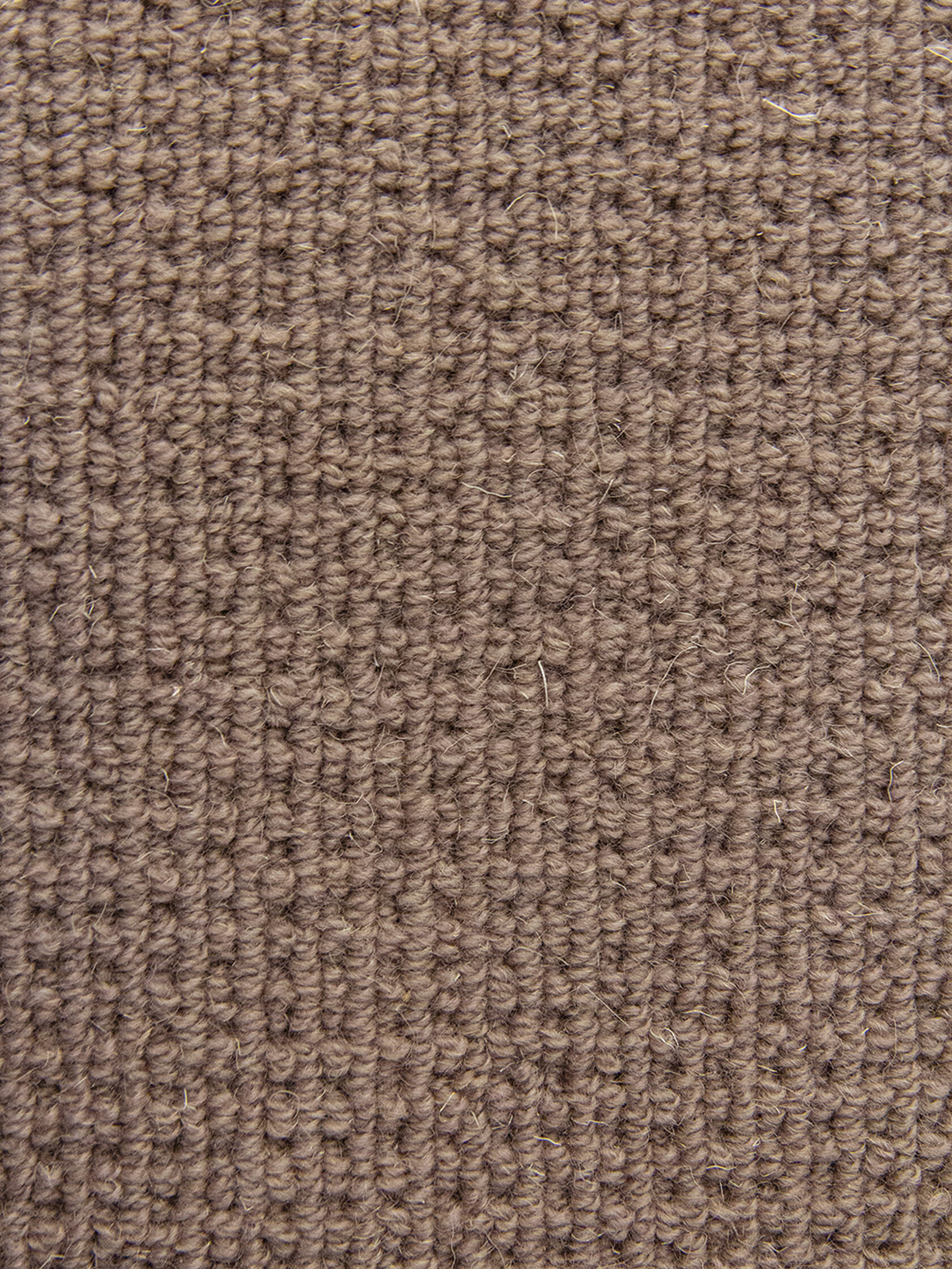 Ковровое покрытие "Bonkeel" Welfare Brown (ширина 4м) — купить в Ижевске