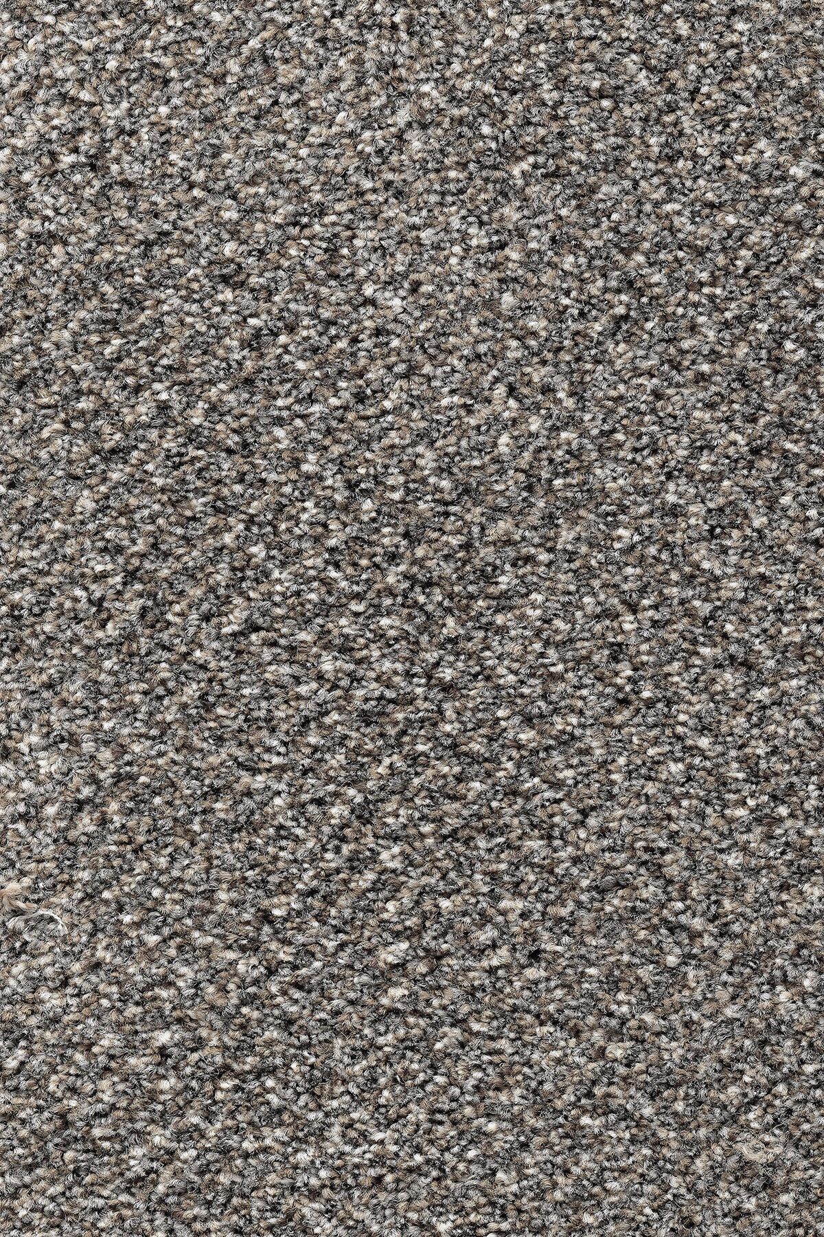 Ковровое покрытие "Bonkeel" Stainaway Tweed 93 (ширина 4м) — купить в Ижевске