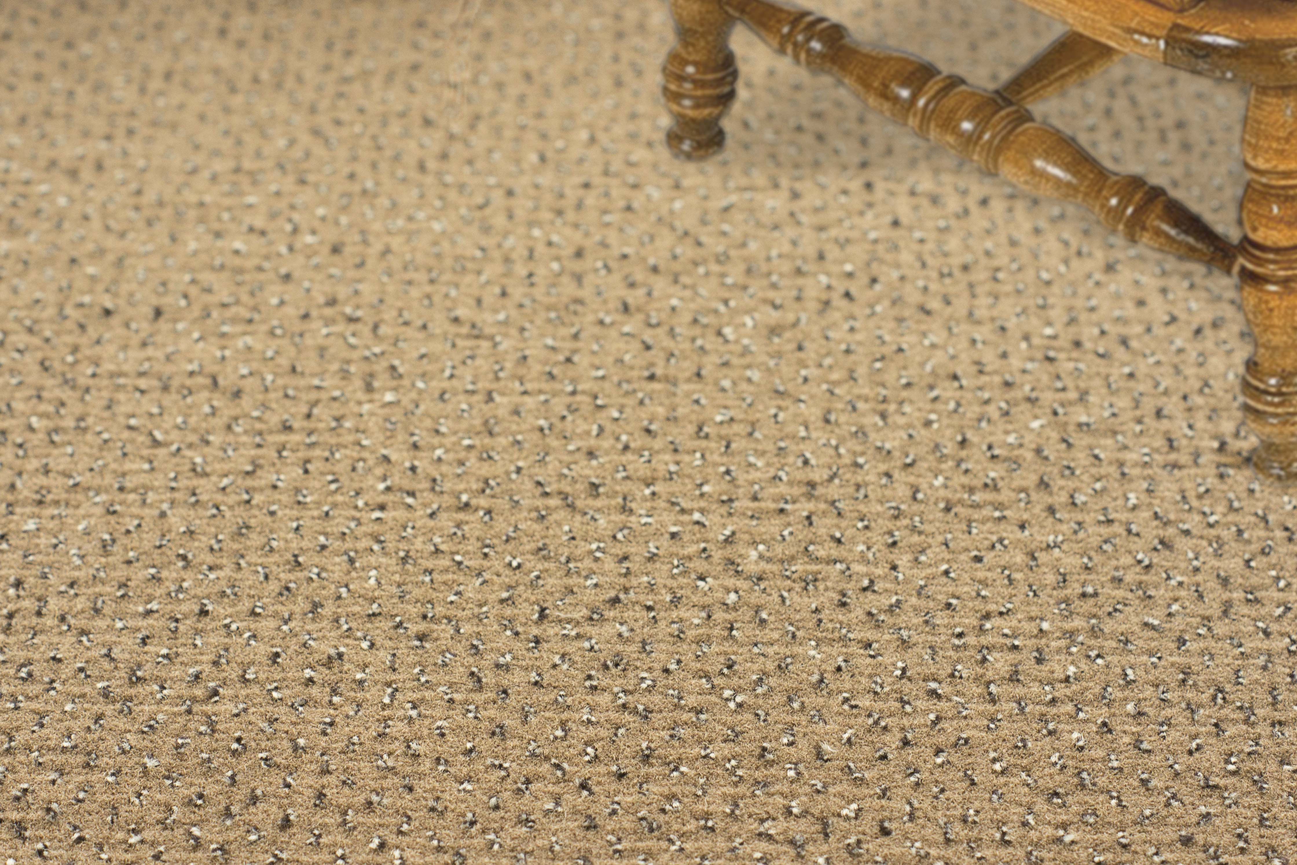 Ковролин "Зартекс" Eternity 142 бежевый (4м) — купить в Ижевске