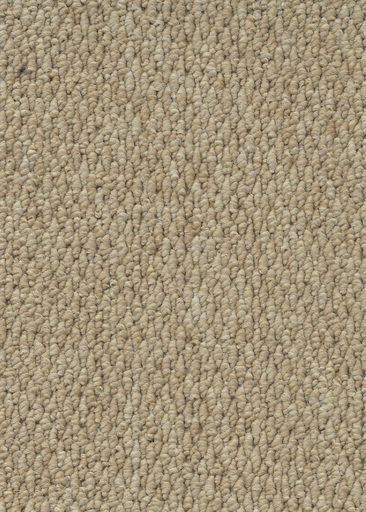 Ковровое покрытие "Bonkeel" Skye 50 (ширина 4м) — купить в Ижевске